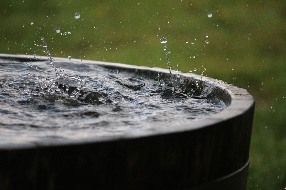 Regenwasser sammeln in Holzfass