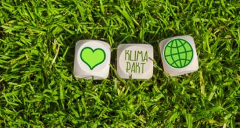 Würfel Klimapaket auf Rasen