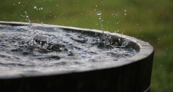 Regenwasser sammeln in Holzfass