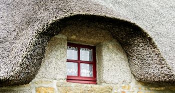 Reetdach auf einem alten Haus