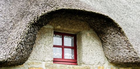 Reetdach auf einem alten Haus